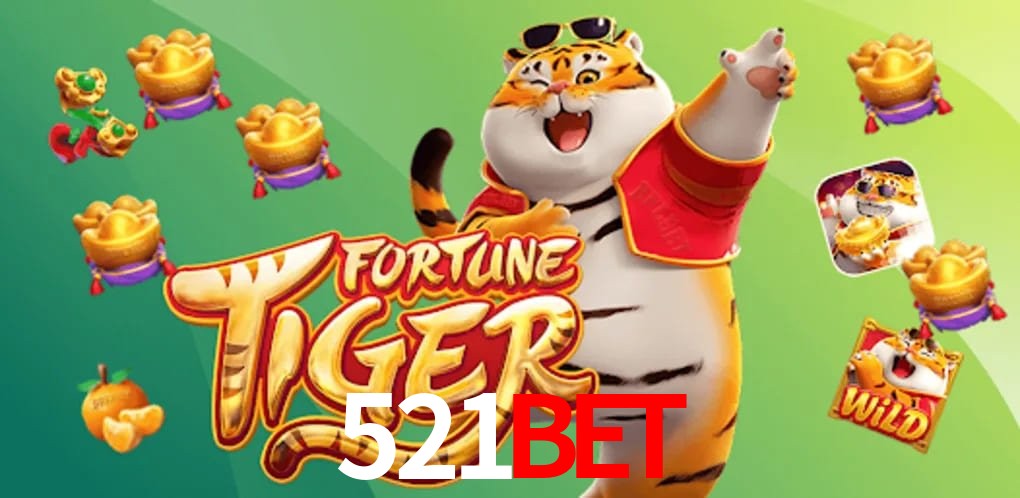 Experiência VIP 521bet